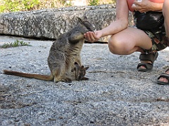 CairnsTC128 Granite Gorge